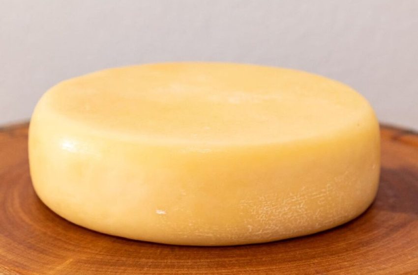  Brasil conquista medalhas em concurso mundial de queijo.