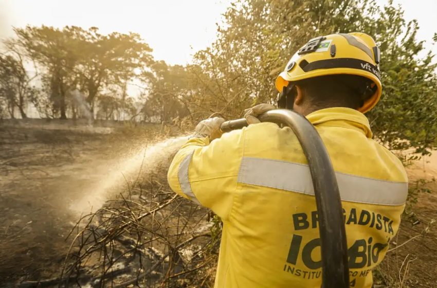  Mais de 17,3 milhões de hectares foram queimados em 2023 no país.